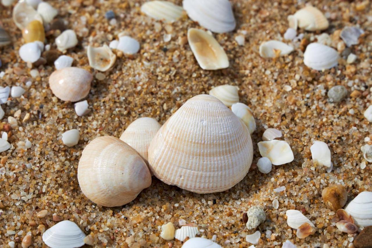 Santiago do Cacém Apart@Costasantoandre Beach מראה חיצוני תמונה