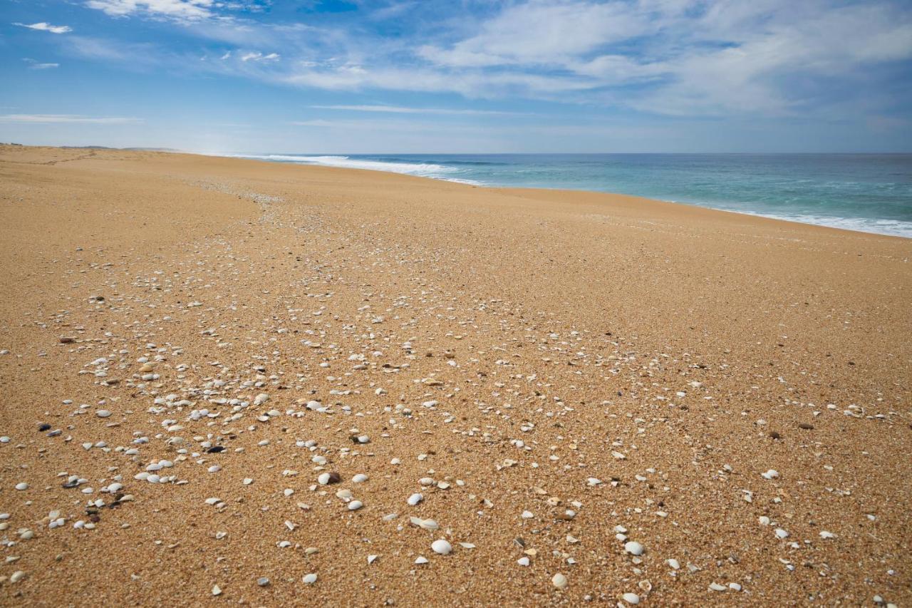 Santiago do Cacém Apart@Costasantoandre Beach מראה חיצוני תמונה